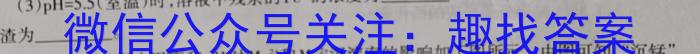 安徽省2025届同步达标自主练习·七年级年级第六次考试（期中）化学