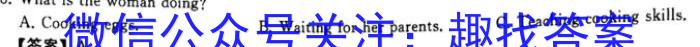 2023年陕西省初中学业水平考试全真模拟（三）C版英语