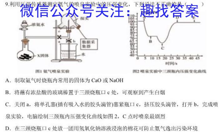 2023年湖南省普通高中学业水平合格性考试仿真试卷(专家版二)化学