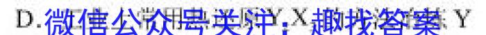 安徽省中考必刷卷·2023年名校内部卷（四）化学