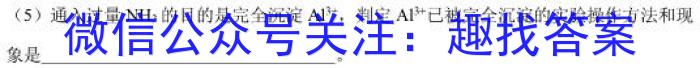 2023届名校之约·中考导向总复习模拟样卷 二轮(五)化学