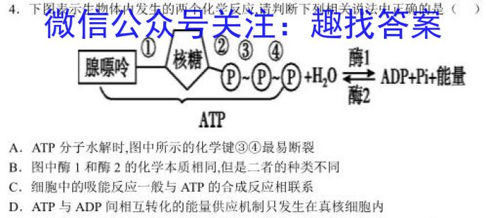 2023年万友名校大联考试卷(二)生物