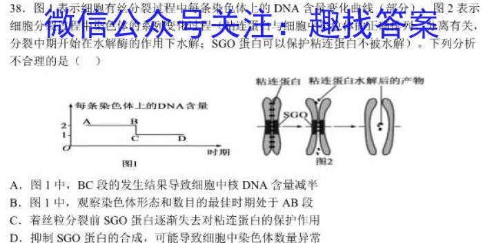 衡水金卷先享题2022-2023下学期高三年级一模考试(老高考)生物