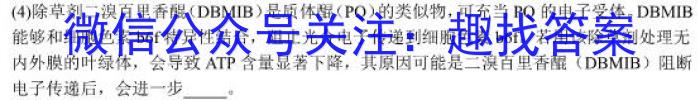 2023年普通高等学校招生全国统一考试信息模拟测试卷(新高考)(二)生物试卷答案