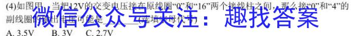 陕西省周至县2022~2023九年级第二次模拟考试.物理