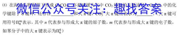 衡中文化2023年衡水新坐标·信息卷(三)化学