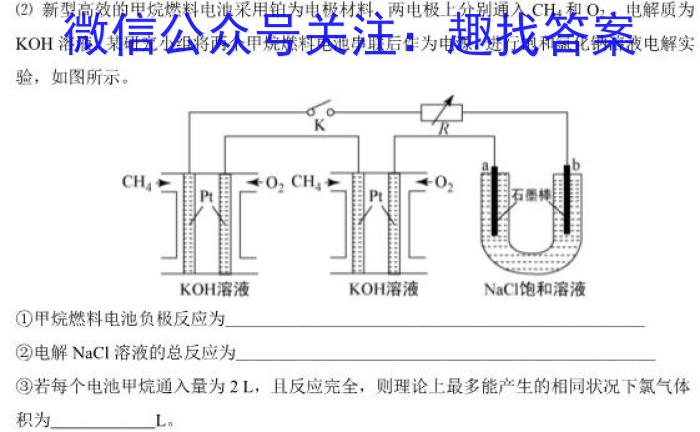 安师联盟2023年中考质量检测试卷化学