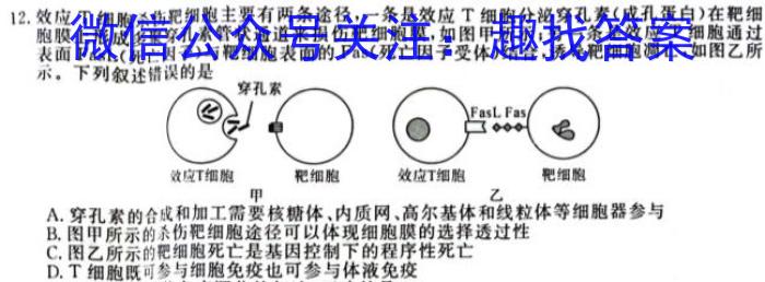 全国大联考2023届高三全国第七次联考7LK·新教材老高考生物试卷答案