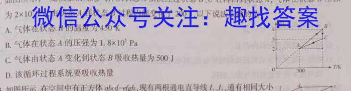 江西省九江市2023年初中学业水平考试复习试卷（一）物理`