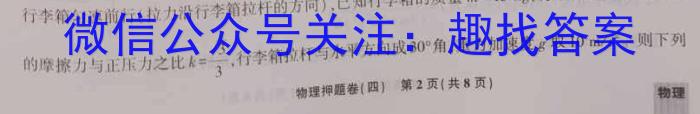 2023届西北师大附中高三模拟考试(2023年4月)物理.