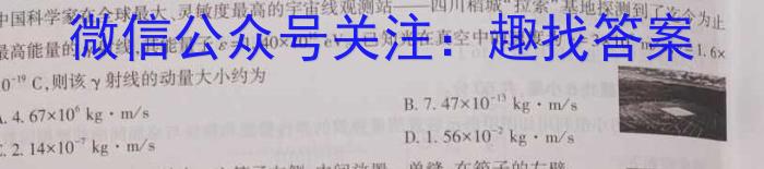 2023年湖南省普通高中学业水平合格性考试仿真试卷(专家版二)物理`