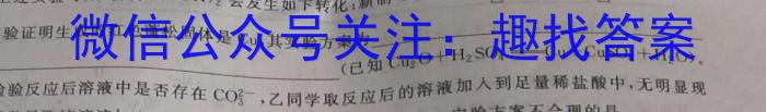 2023年普通高等学校全国统一模拟招生考试 高三新未来4月联考化学