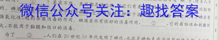 三湘名校教育联盟·2023届高三第二次大联考语文