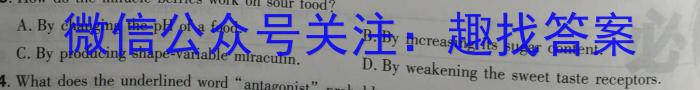 2025届湖南大联考高一年级4月联考英语