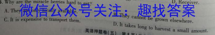 安徽省2024-2023学年九年级下学期期中教学质量调研英语