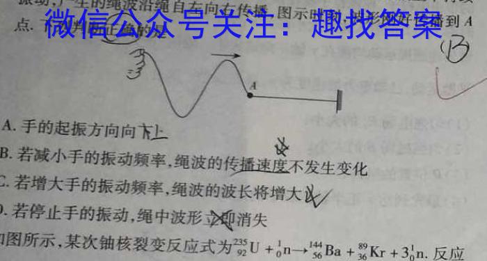 佩佩教育·2023年普通高校统一招生考试 湖南四大名校名师团队模拟冲刺卷(4)q物理