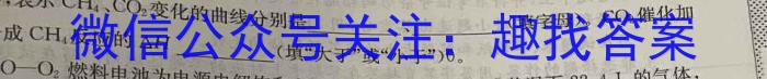 2023年万友中考模拟卷（一）化学