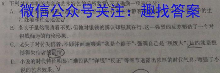 安徽2022~2023学年九年级联盟考试(二)(23-CZ125c)语文