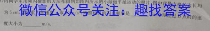 安徽省2025届同步达标自主练*·七年级年级第六次考试（期中）物理.