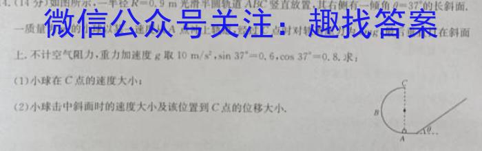 2023届九师联盟高三年级3月质量检测（新高考·河北）.物理