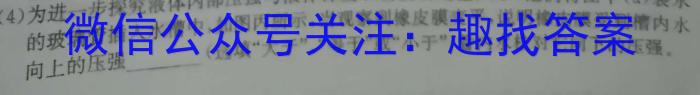 伯乐马 2023年普通高等学校招生新高考模拟考试(五)物理.