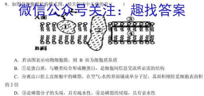 文博志鸿 2023年河北省初中毕业生升学文化课模拟考试(导向一)生物