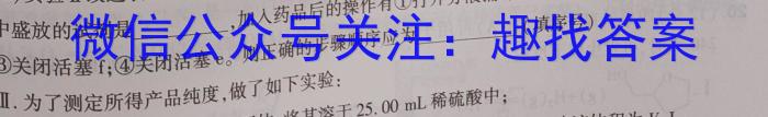 河南省2023年初中中招诊断测试卷化学