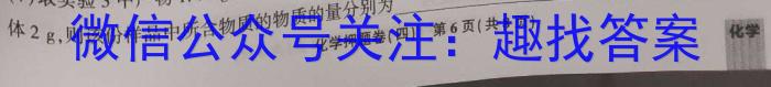 中考模拟系列2023年河北省中考适应性模拟检测(强化二)化学