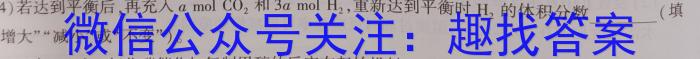 中考必刷卷·2023年安徽中考第一轮复*卷（十）化学