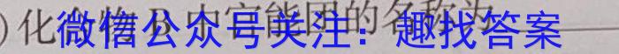 2023年河南决胜中招模拟试卷（二）化学