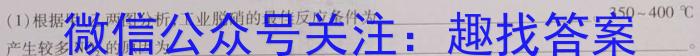 陕西省临渭区2023年九年级中考模拟训练(一)化学