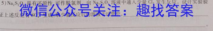 河南省新乡市长垣市2023年九年级学业水平模拟测评化学