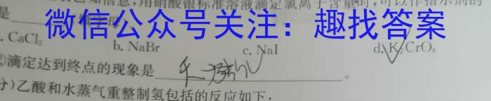 2023年陕西省初中学业水平考试全真模拟试题A版化学