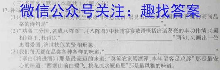 （二轮）名校之约·中考导向总复习模拟样卷（九）语文