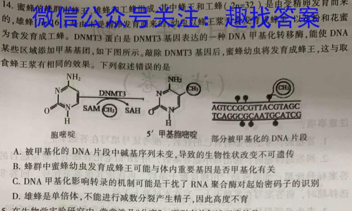 2023年普通高等学校招生统一考试 新S3·临门押题卷(一)生物试卷答案