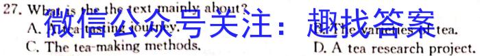 2023届河南省高三高考仿真适应性测试英语试题