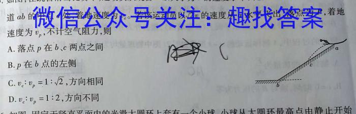 贵州省2023年普通高等学校招生适应性测试（4月）q物理