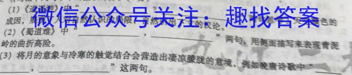 2023年湖南省普通高中学业水平合格性考试模拟试卷(五)语文