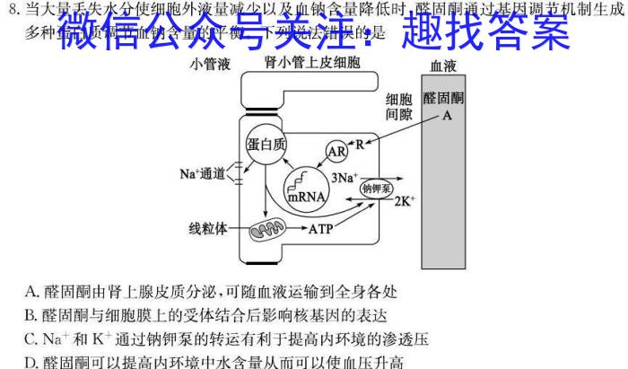 重庆康德2023年普通高等学校招生全国统一考试 高三第二次联合诊断检测生物