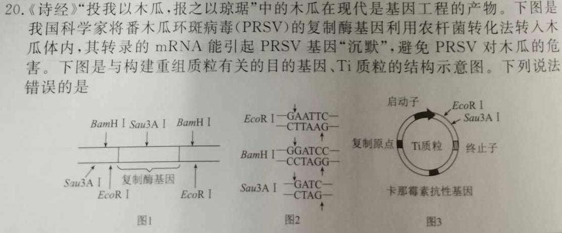 广州二模2023年广州普通高中毕业班综合测试(二)生物