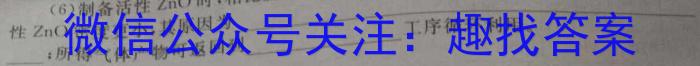 掌控中考 2023年河北省初中毕业生升学文化课模拟考试(二)化学