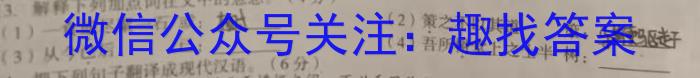 2023届衡中同卷押题卷 湖北专版(一)二三语文