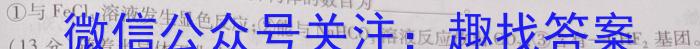 2023届高考北京专家信息卷·仿真模拟卷(六)化学