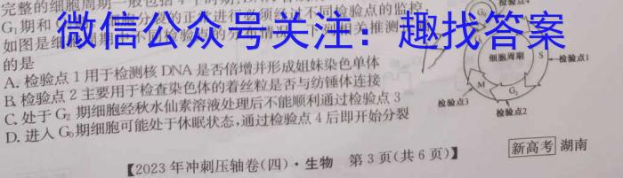 2024届广东高二年级4月联考生物