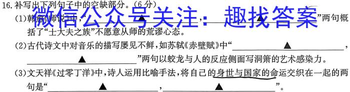 江西省2023年第四次中考模拟考试练习语文