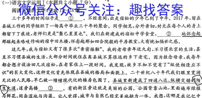 2023届九师联盟高三年级4月质量检测（新高考-河北）语文