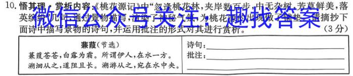 安徽省安庆市桐城市十校联考2022-2023学年九年级下学期选拔考试语文