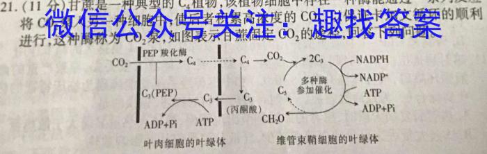 2023年广东省大湾区高三年级4月联考生物