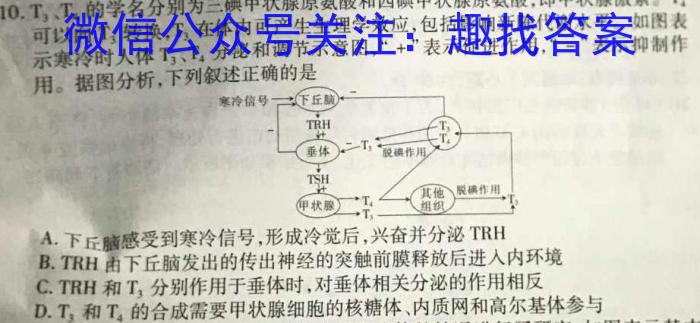 江西省吉安市2023年初中学业水平考试模拟卷生物