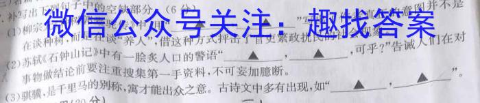 陕西省2023年九年级中考模拟卷4月联考语文